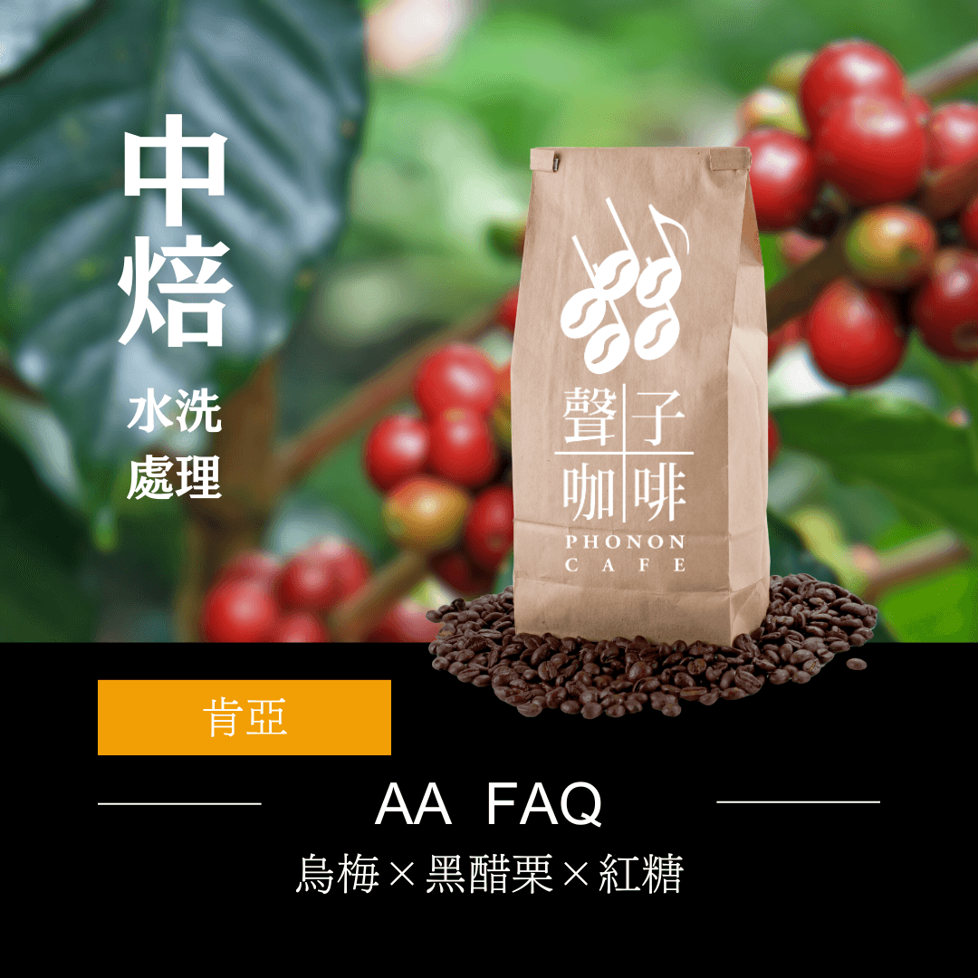 肯亞  AA FAQ 產地雙次手選 水洗