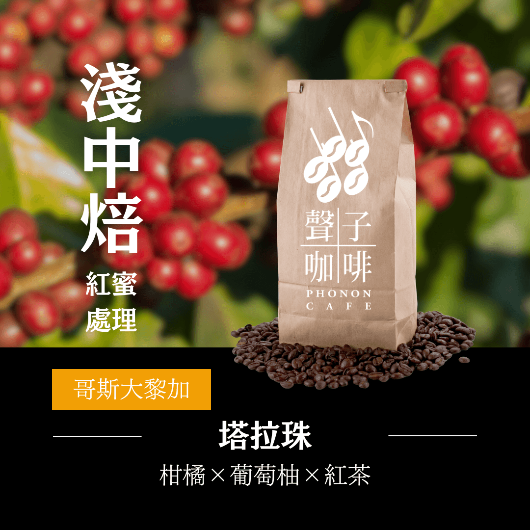 哥斯大黎加 塔拉珠 紅蜜處理