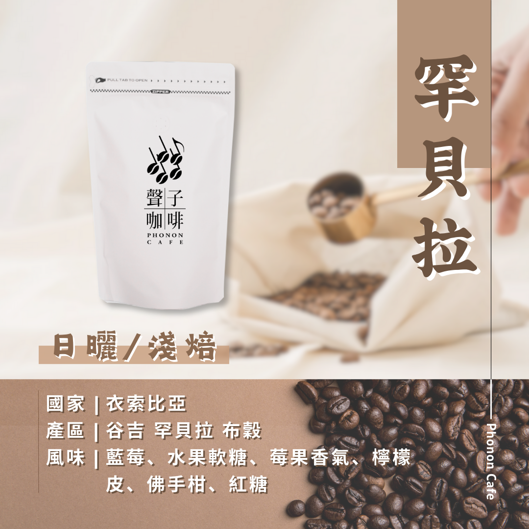 衣索比亞 | 谷吉 罕貝拉 布穀 | 日曬
