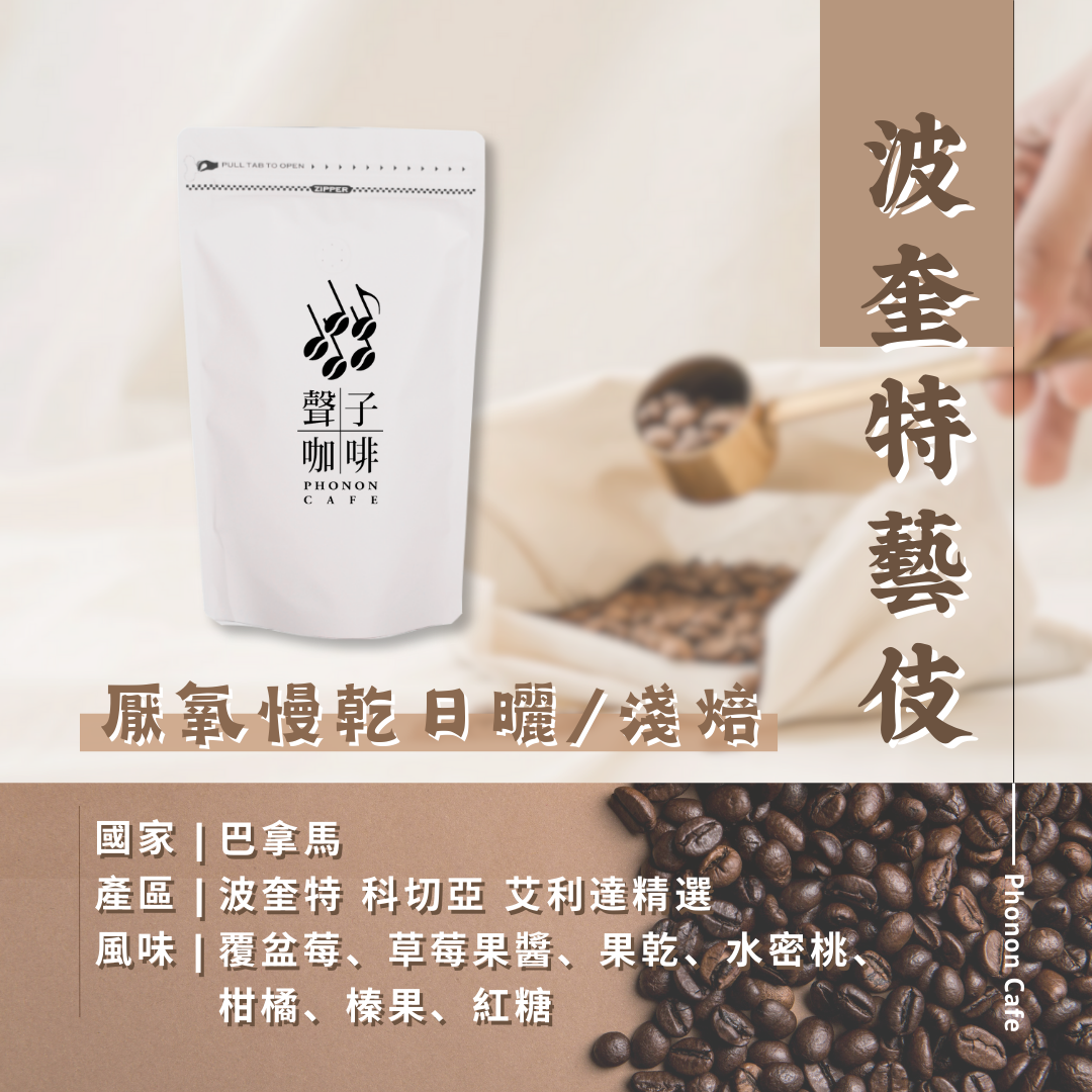 巴拿馬 | 波奎特 科切亞 艾利達精選 | 瑰夏/藝伎 | 厭氧慢乾日曬