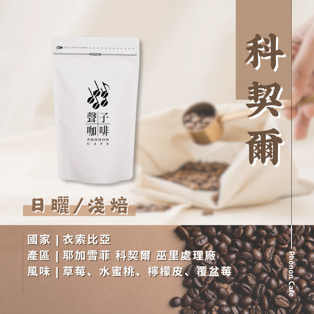 衣索比亞 | 耶加雪菲 科契爾 巫里處理廠 | 古優原生種 | 日曬