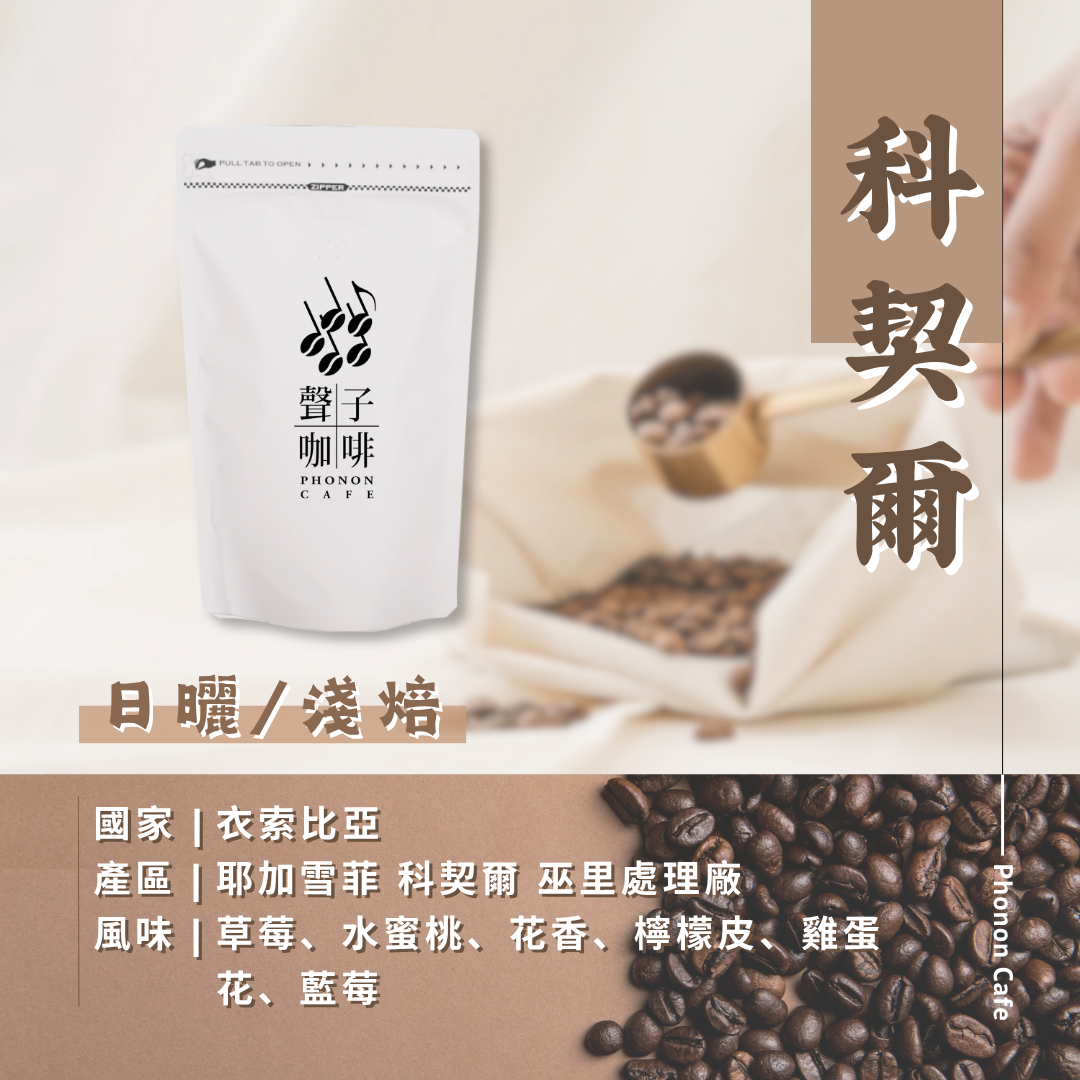 衣索比亞 耶加雪菲 科契爾 巫里處理廠 日曬